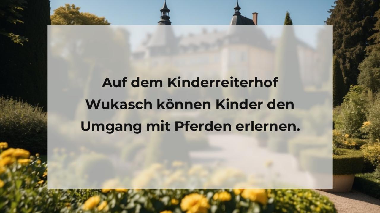 Auf dem Kinderreiterhof Wukasch können Kinder den Umgang mit Pferden erlernen.