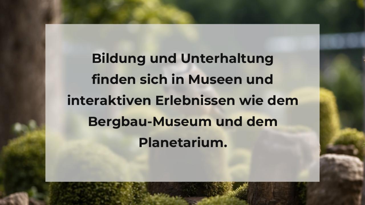 Bildung und Unterhaltung finden sich in Museen und interaktiven Erlebnissen wie dem Bergbau-Museum und dem Planetarium.