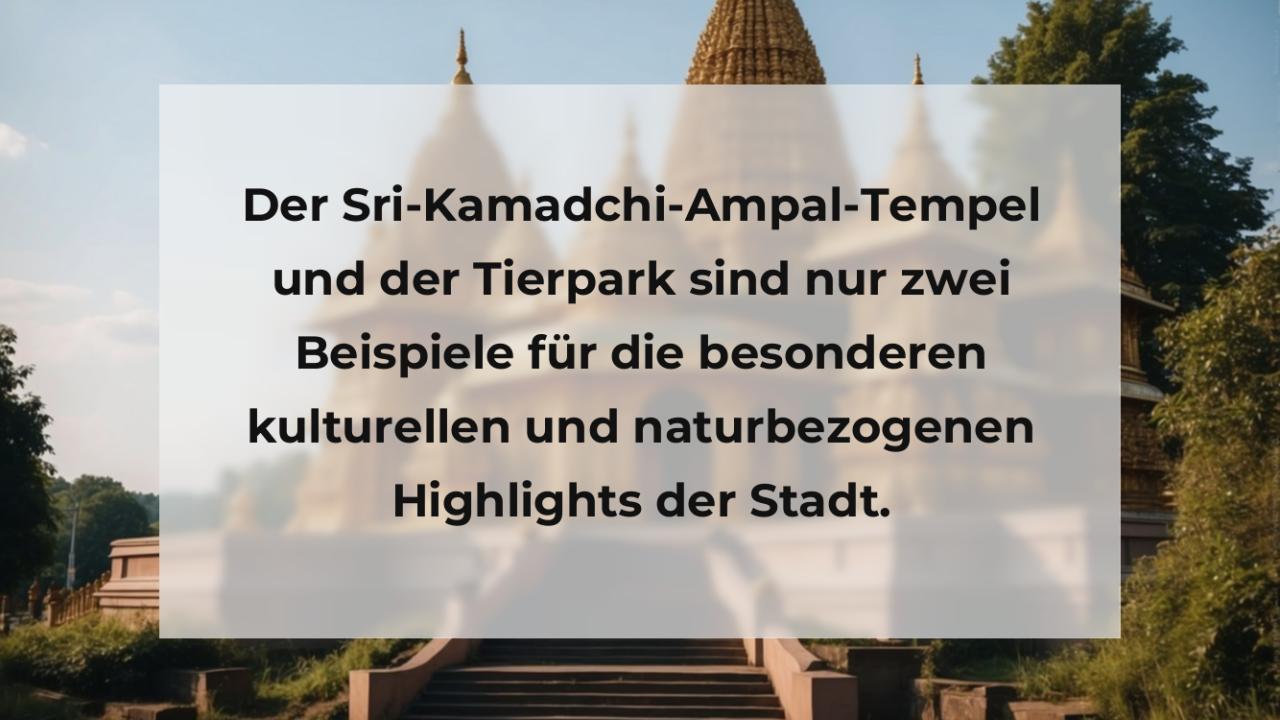 Der Sri-Kamadchi-Ampal-Tempel und der Tierpark sind nur zwei Beispiele für die besonderen kulturellen und naturbezogenen Highlights der Stadt.