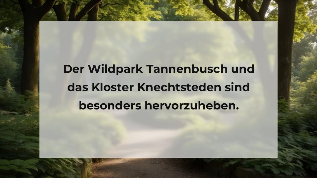 Der Wildpark Tannenbusch und das Kloster Knechtsteden sind besonders hervorzuheben.
