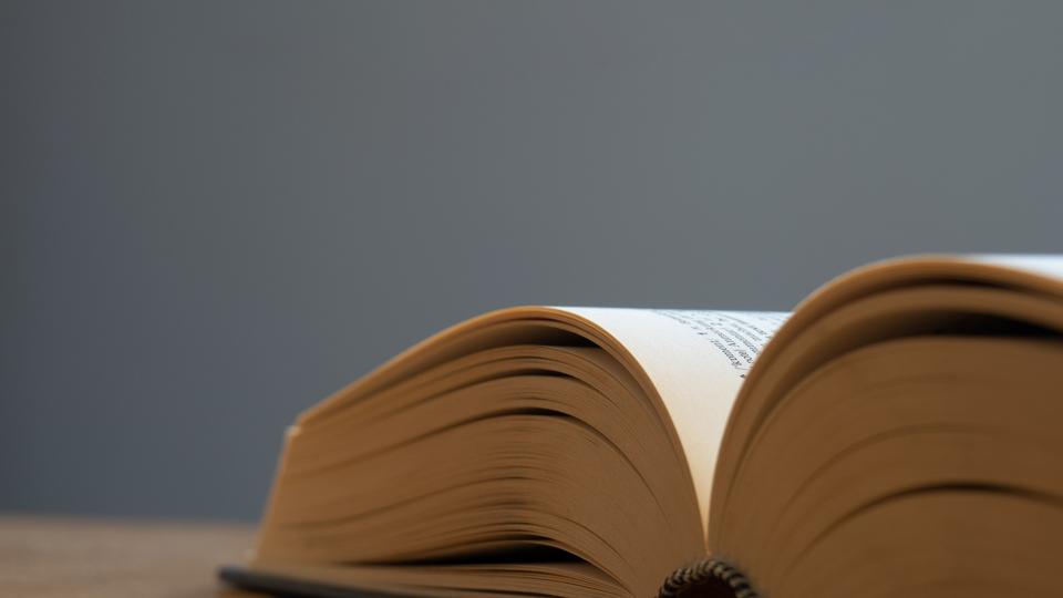 die bedeutung von hayde im tuerkischen erklaerung und herkunft