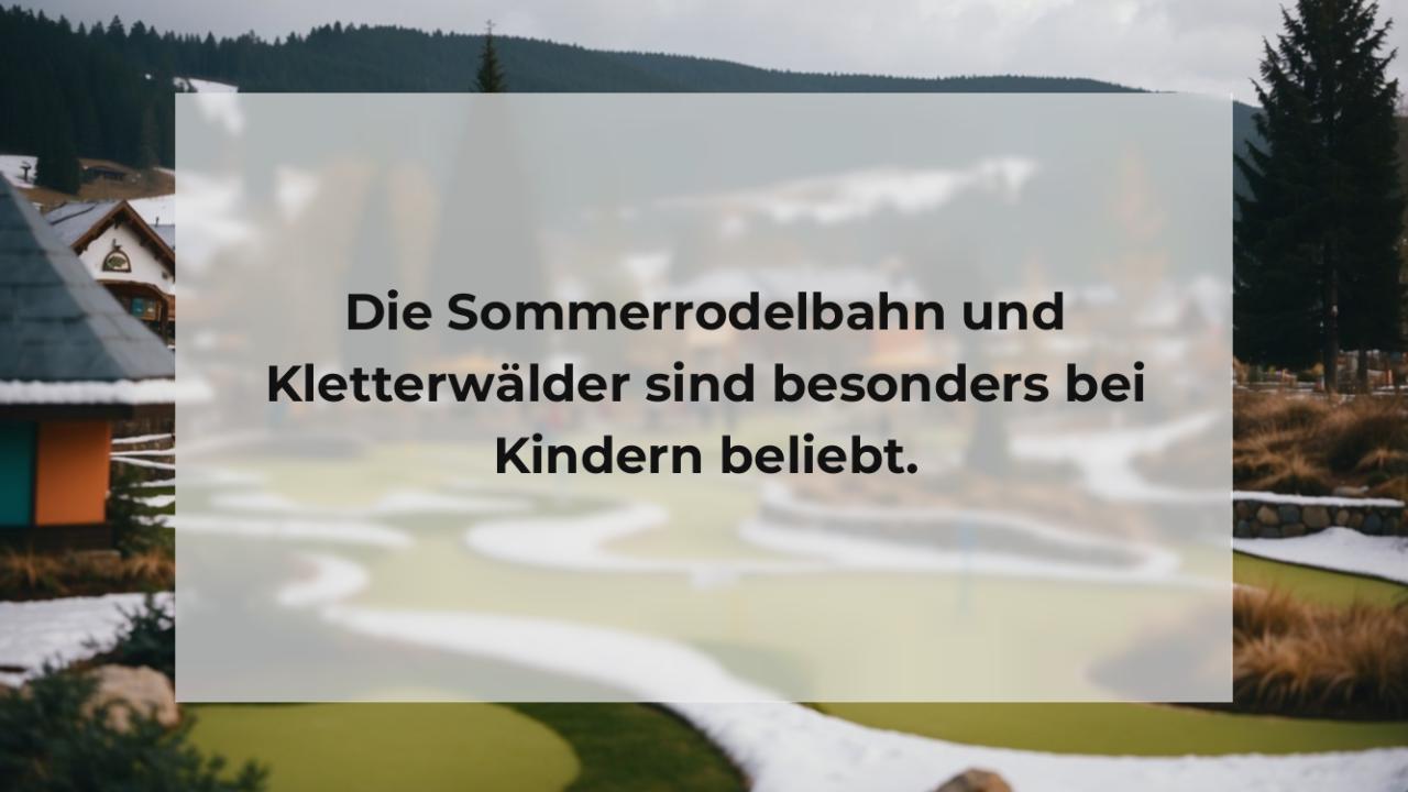 Die Sommerrodelbahn und Kletterwälder sind besonders bei Kindern beliebt.