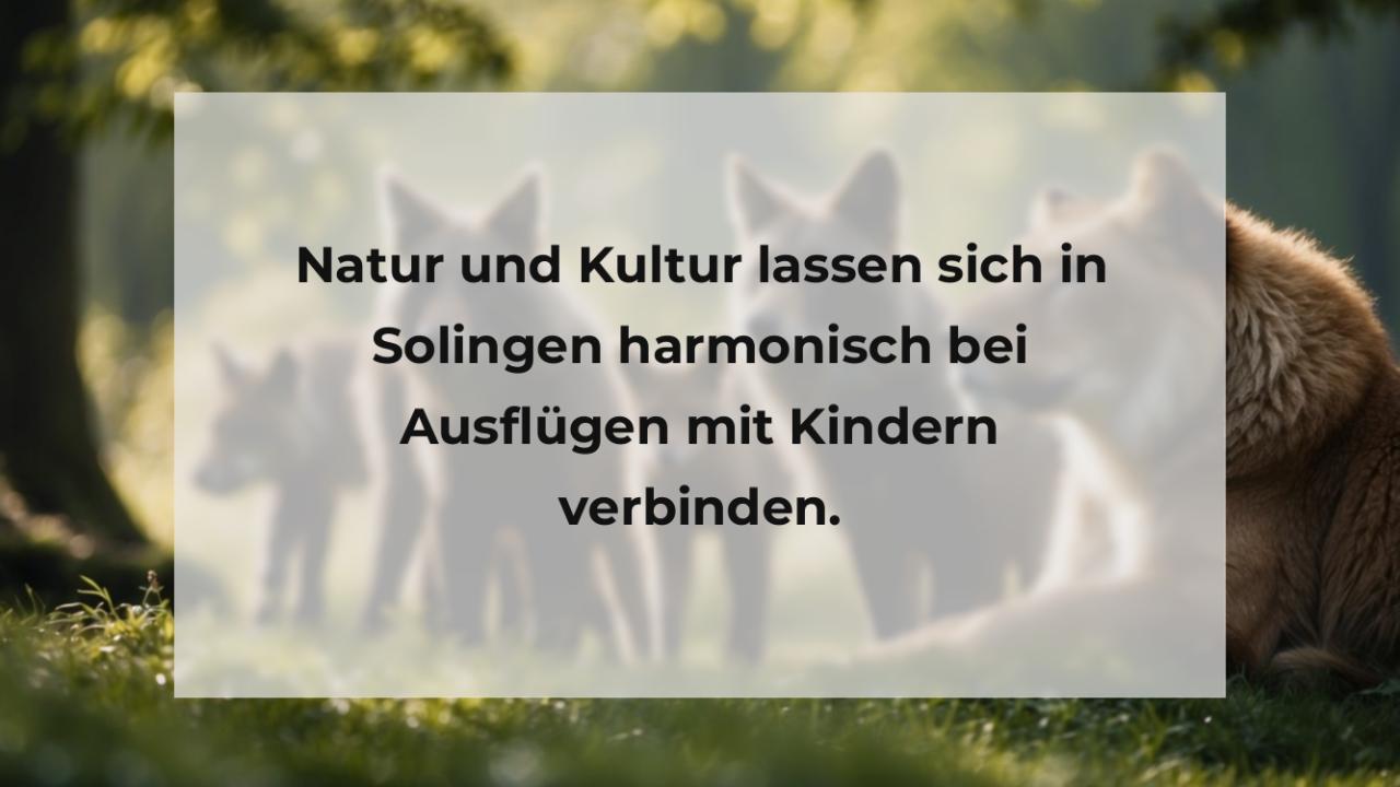 Natur und Kultur lassen sich in Solingen harmonisch bei Ausflügen mit Kindern verbinden.