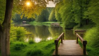 naturpark in der naehe entdecken sie die schoensten naturerlebnisse in nrw